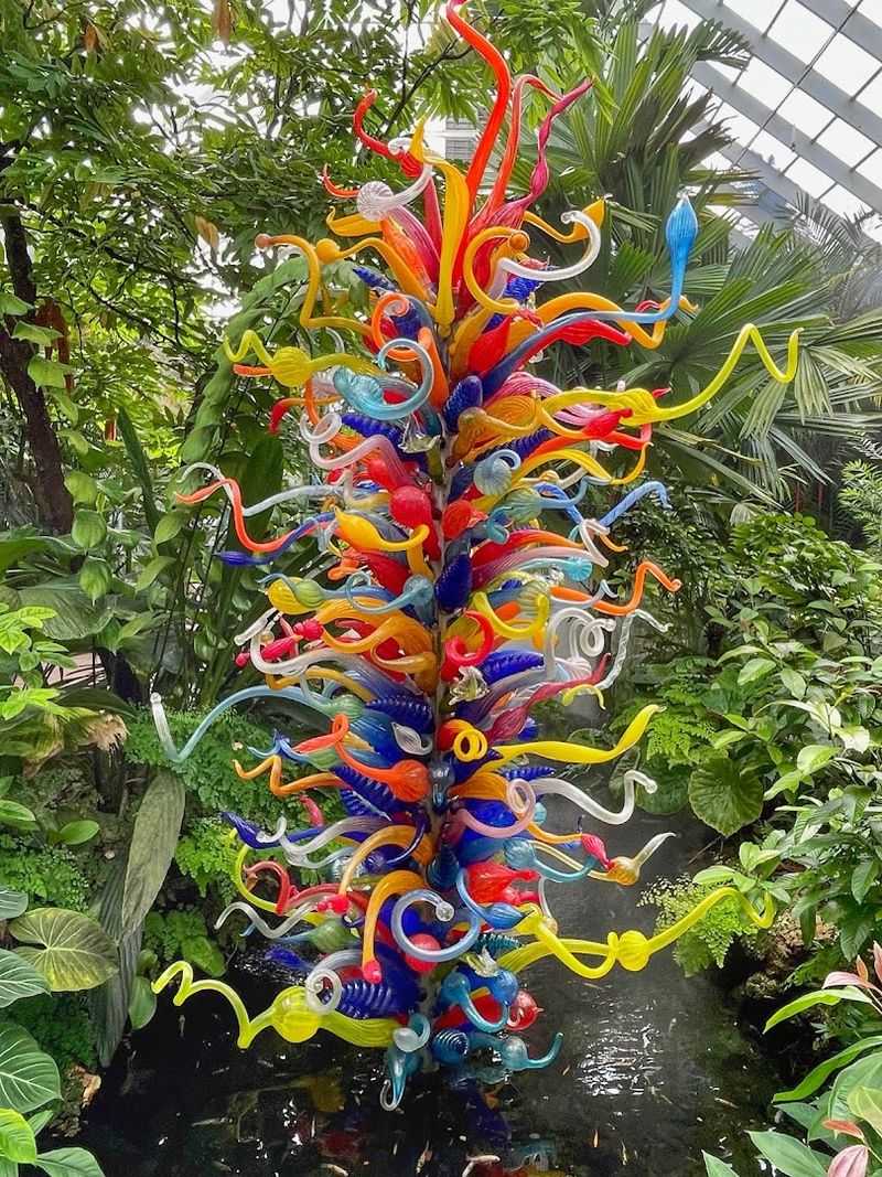 The Rare Tropical Plant House and the Ghost Orchid