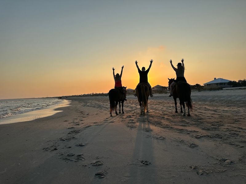 The Real BeachHorses – Panama City Beach