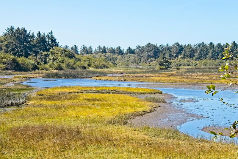 The Remarkable Bird Life That Earns It the Sanctuary Label