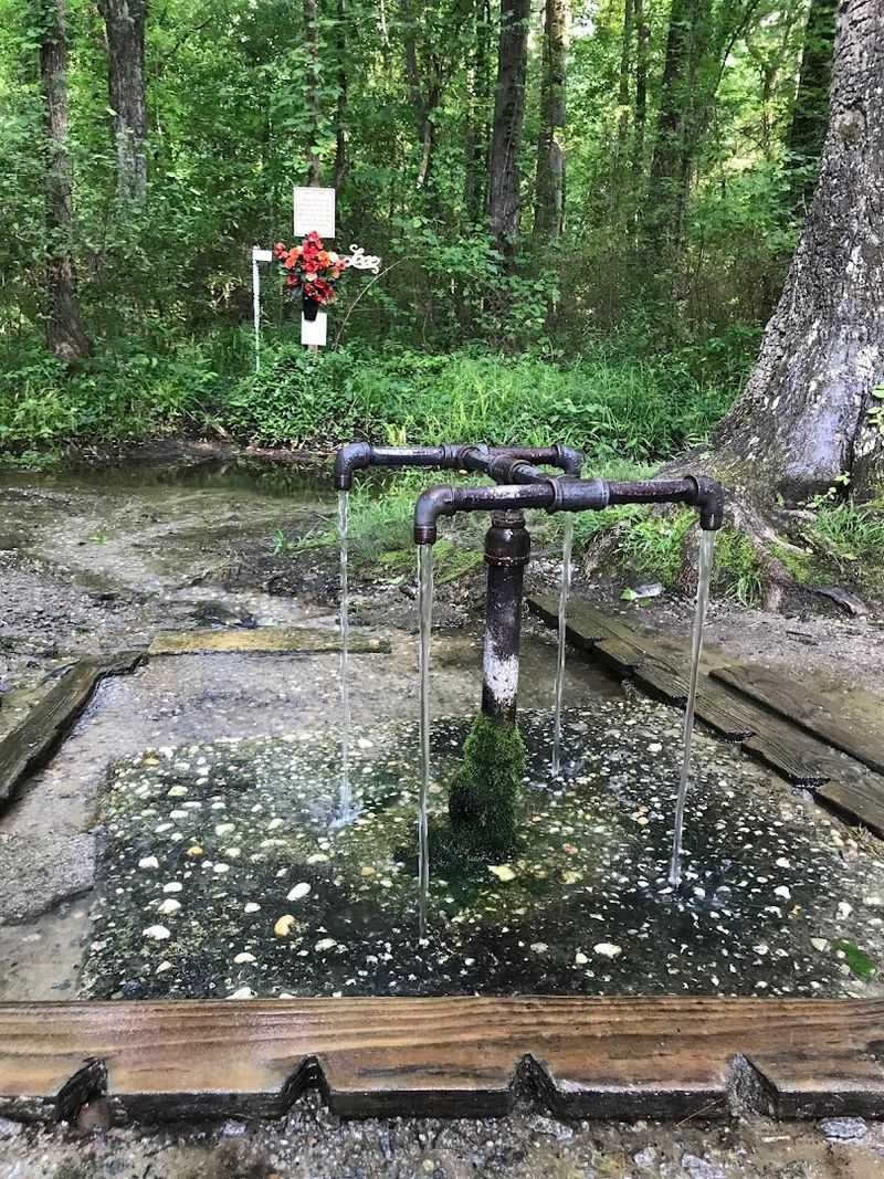 The Remarkable History Behind the Springs The Remarkable History Behind the Springs
