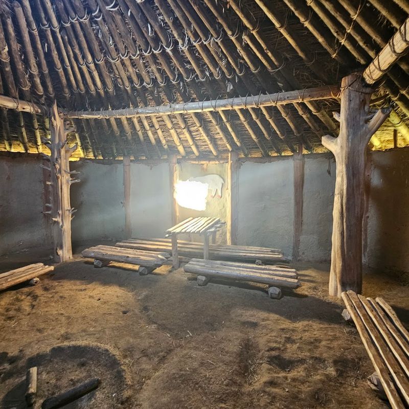 The Replica Structures You Can Explore Up Close