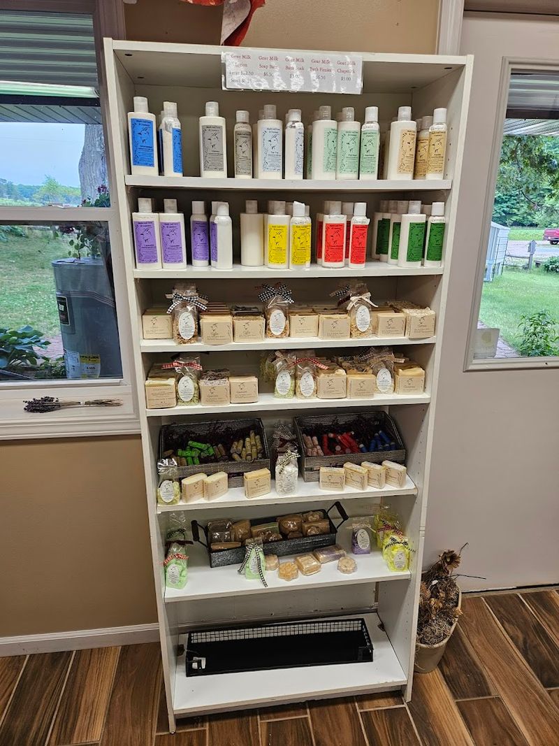 The Retail Shop: Small Space, Surprisingly Full Shelves The Retail Shop: Small Space, Surprisingly Full Shelves