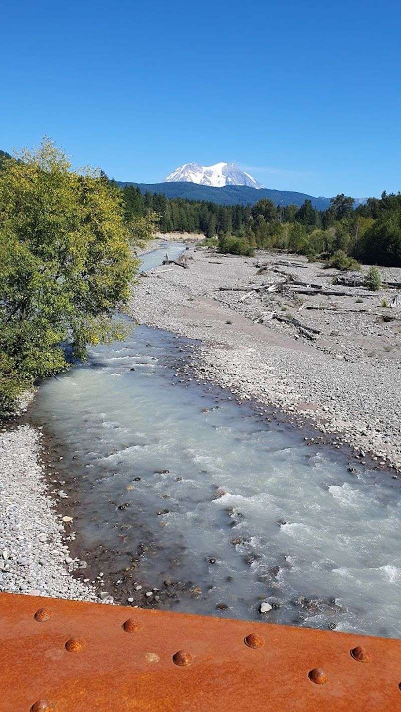 The River Bridges and What They Reveal