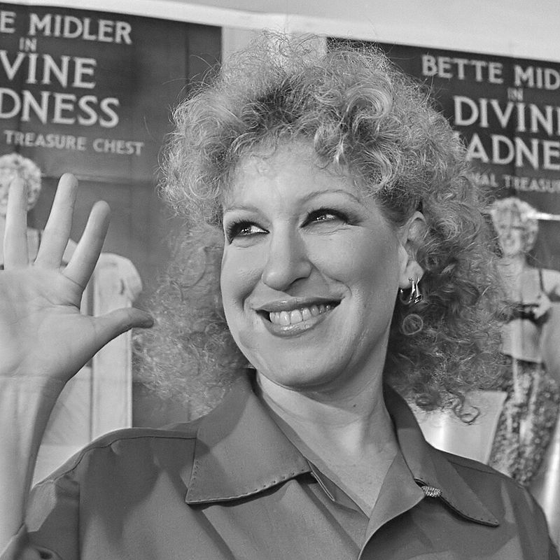 The Rose (Bette Midler) The Rose (Bette Midler)