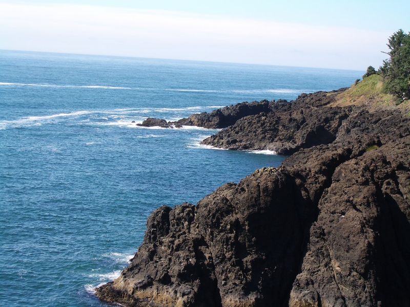 The Rugged Coastline and Tide Pool Exploration