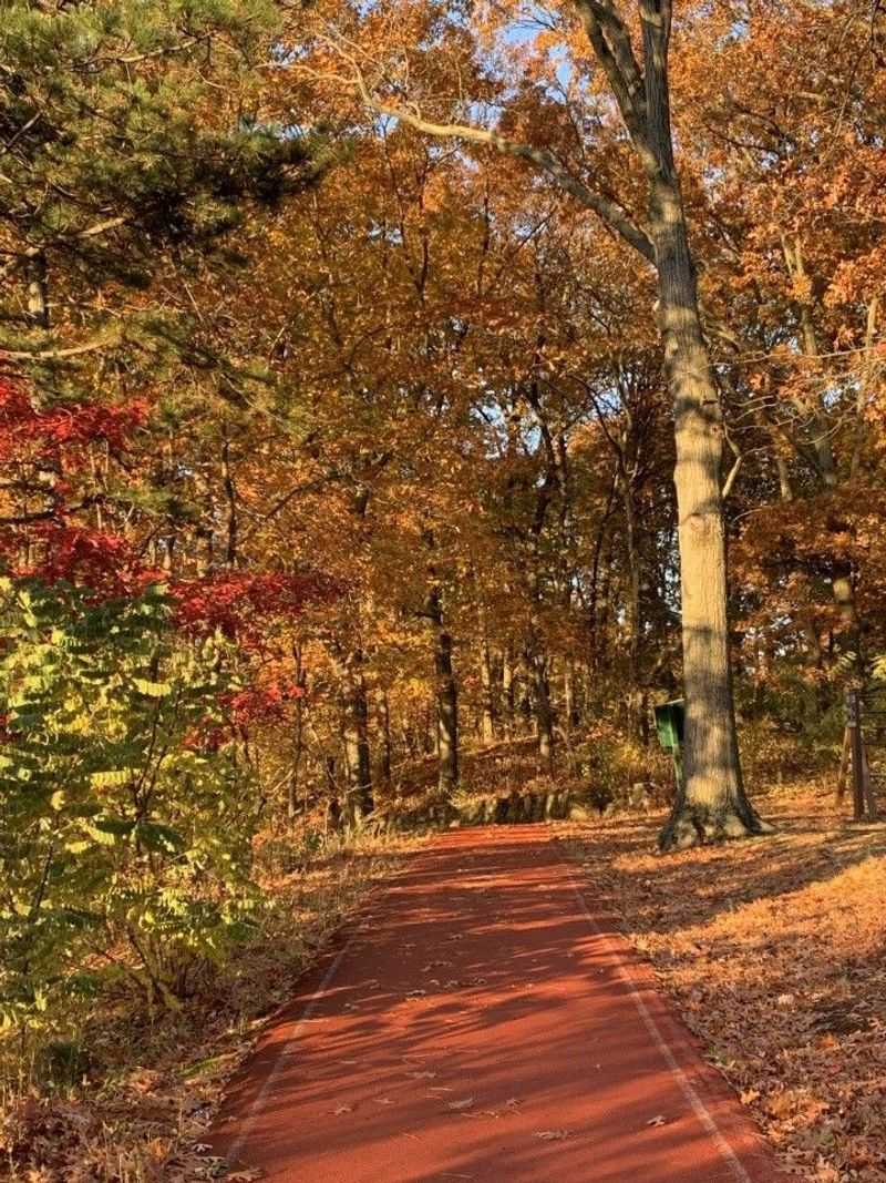 The Running Track That Keeps the Community Moving