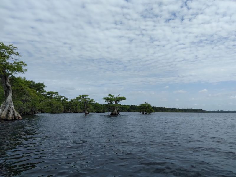 The Scale of the Place: 3,660 Acres of Wild Florida The Scale of the Place: 3,660 Acres of Wild Florida