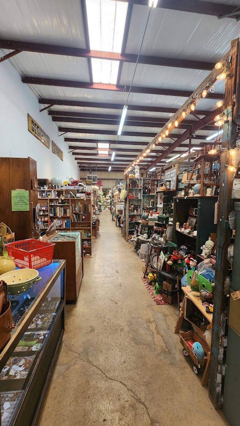 The Scale of the Space: A Warehouse That Earns Its Name