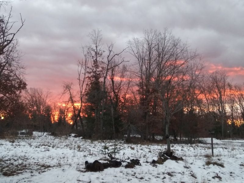 The Scenery That Surrounds the Property The Scenery That Surrounds the Property
