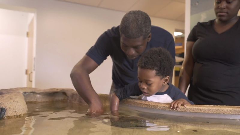The Seaside Nature Center: Where Ocean Science Gets Hands-On