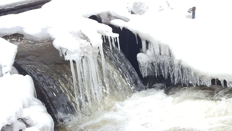 The Seasonal Rhythms of a Northern Michigan Trail