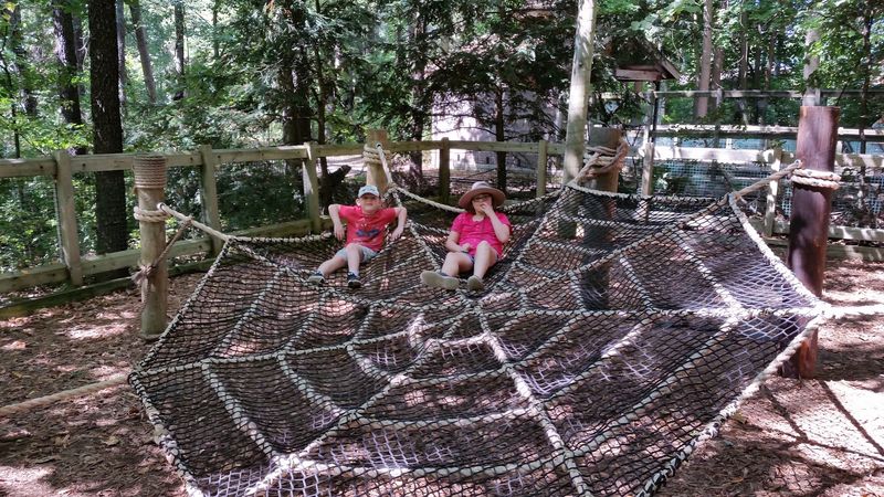 The Skylark Ropes Course That Surprised Everyone The Skylark Ropes Course That Surprised Everyone