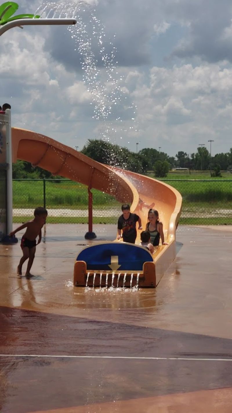 The Slide That Steals the Show The Slide That Steals the Show