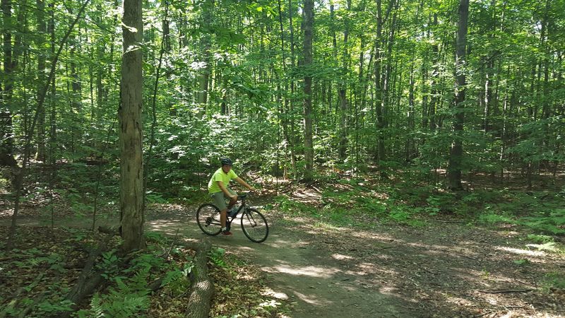 The Smooth, Flowing Trails That Keep Riders Grinning The Smooth, Flowing Trails That Keep Riders Grinning