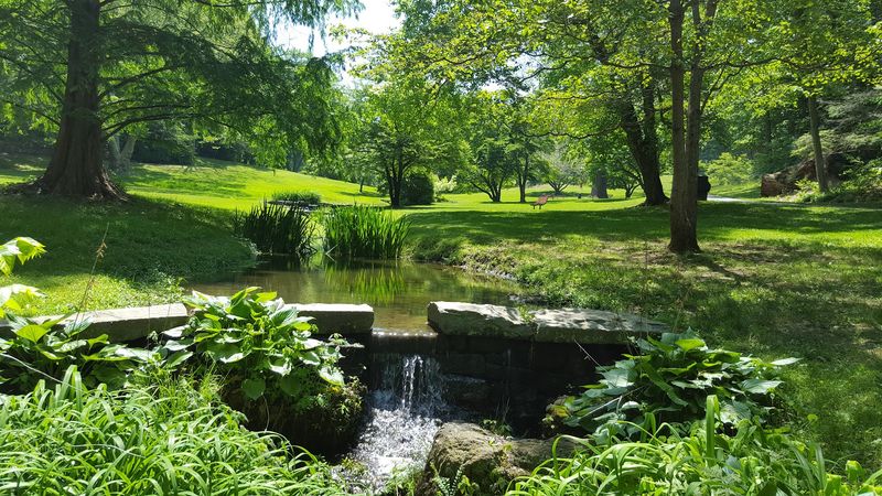 The Sounds, the Stillness, and Why This Place Stays With You The Sounds, the Stillness, and Why This Place Stays With You
