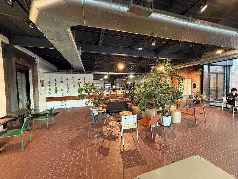 The Space That Stops You Mid-Sip