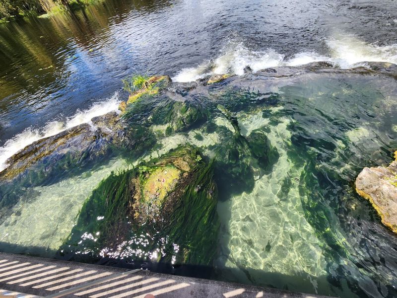 The Spring Itself: Crystal-Clear Water Year-Round