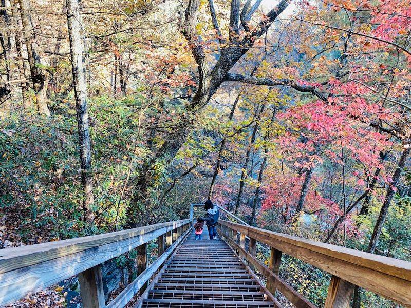 The Staircase Into the Gorge: Worth Every Step The Staircase Into the Gorge: Worth Every Step