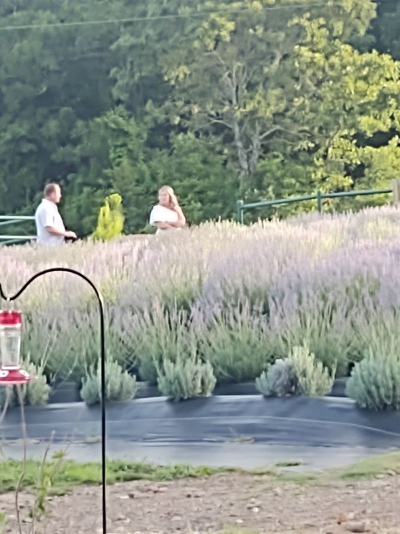 The Story Behind Honey Creek Farm The Story Behind Honey Creek Farm