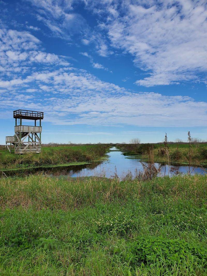 The Story Behind Lake Apopka and Why It Matters Here The Story Behind Lake Apopka and Why It Matters Here