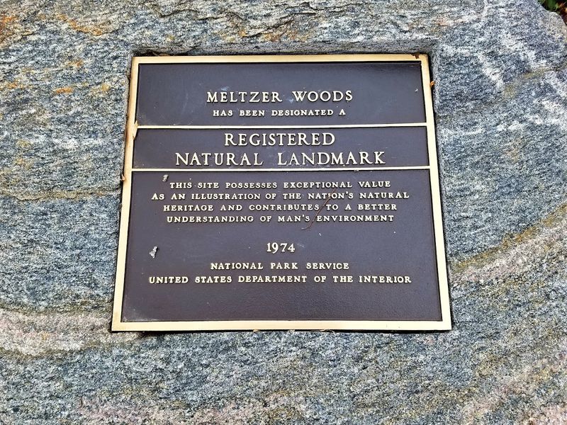 The Story Behind Meltzer Woods The Story Behind Meltzer Woods