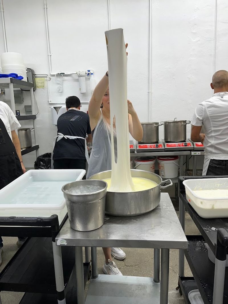 The Story Behind the Cheese Factory