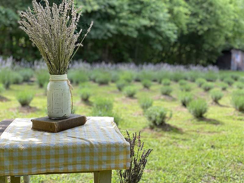 The Story Behind the Fields