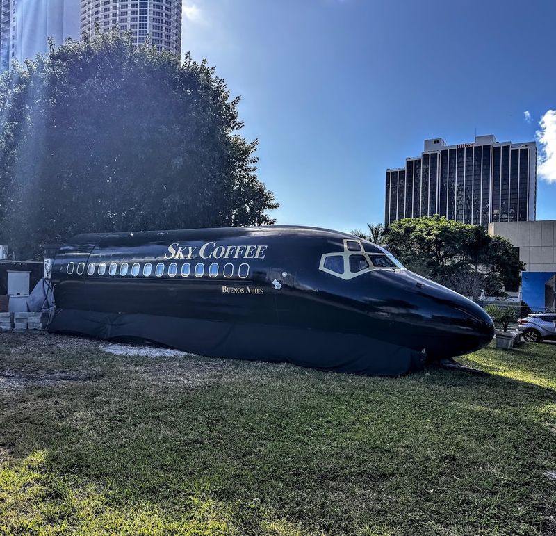 The Story Behind the Plane