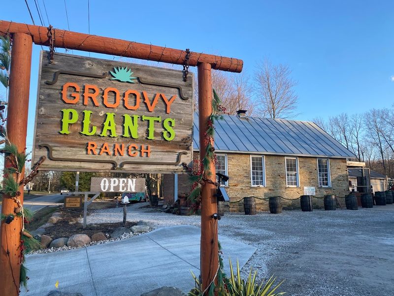 The Story Behind the Ranch and Its Groovy Roots The Story Behind the Ranch and Its Groovy Roots