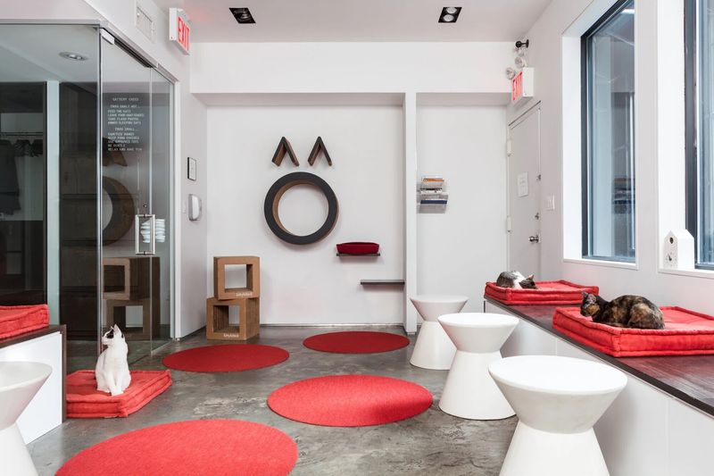 The Story Behind the Space The Story Behind the Space