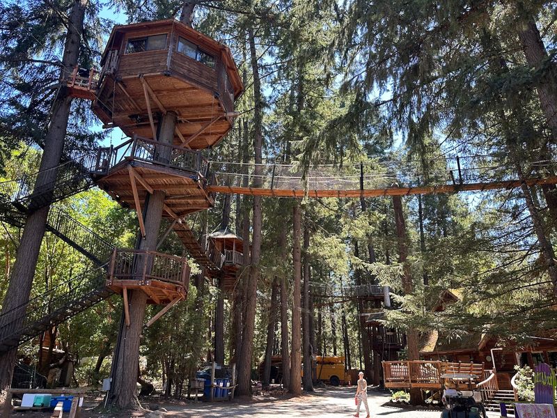 The Story Behind the Treesort