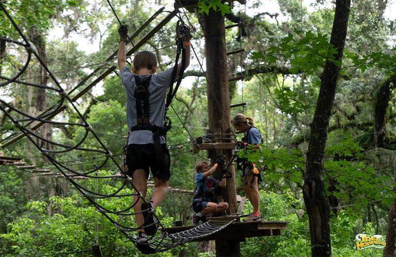 The Story Behind the Treetops