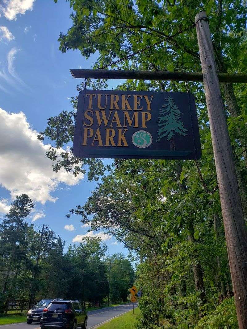 The Story Behind the Unusual Name
