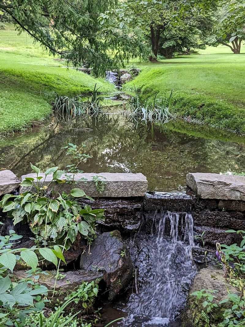 The Stream That Steals the Show The Stream That Steals the Show