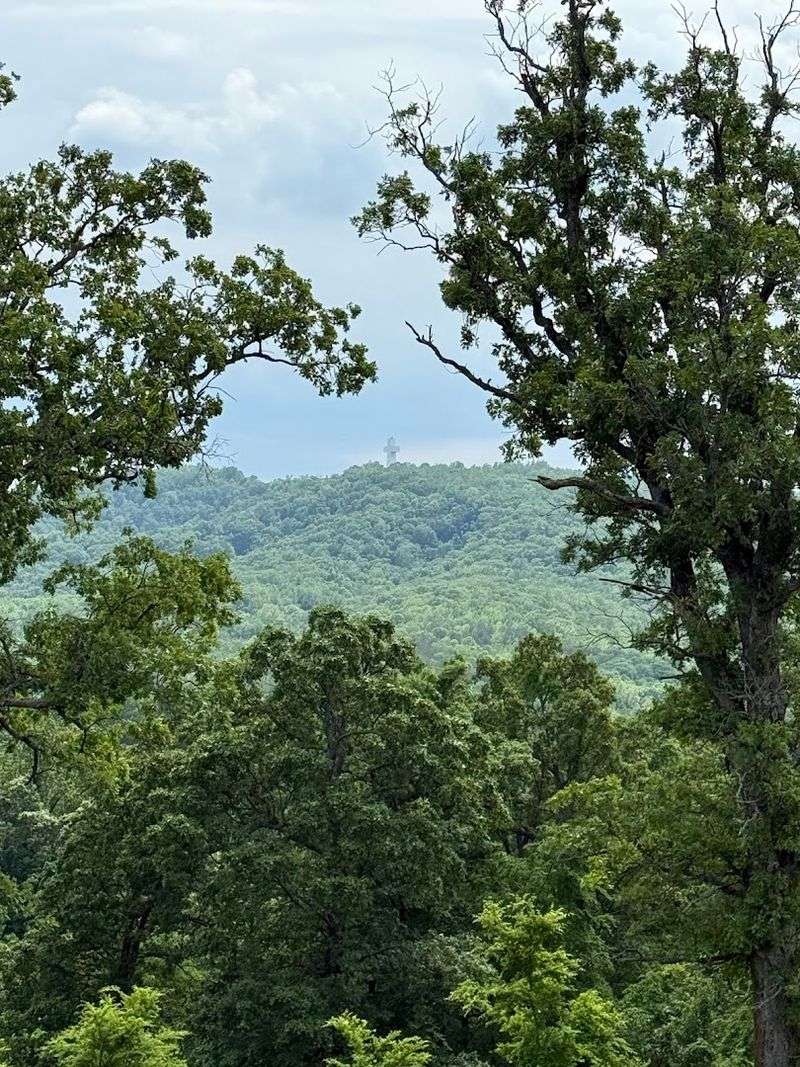 The Surrounding Shawnee National Forest The Surrounding Shawnee National Forest