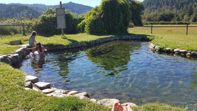 The Swimming Pool and the Peaceful Afternoons