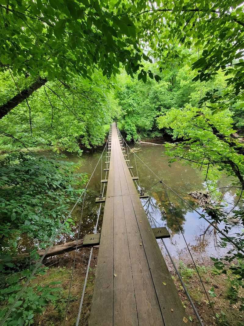 The Swinging Bridge That Steals the Show