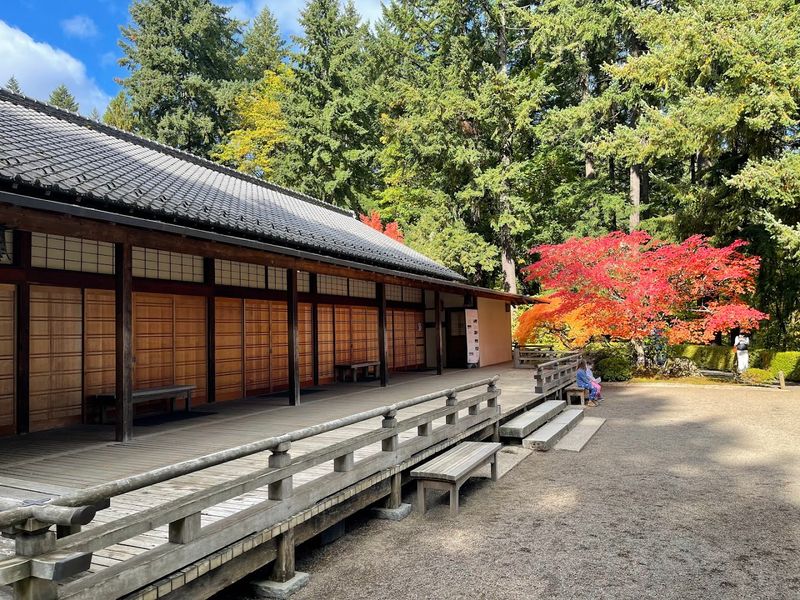 The Teahouse and the Art of Slowing Down