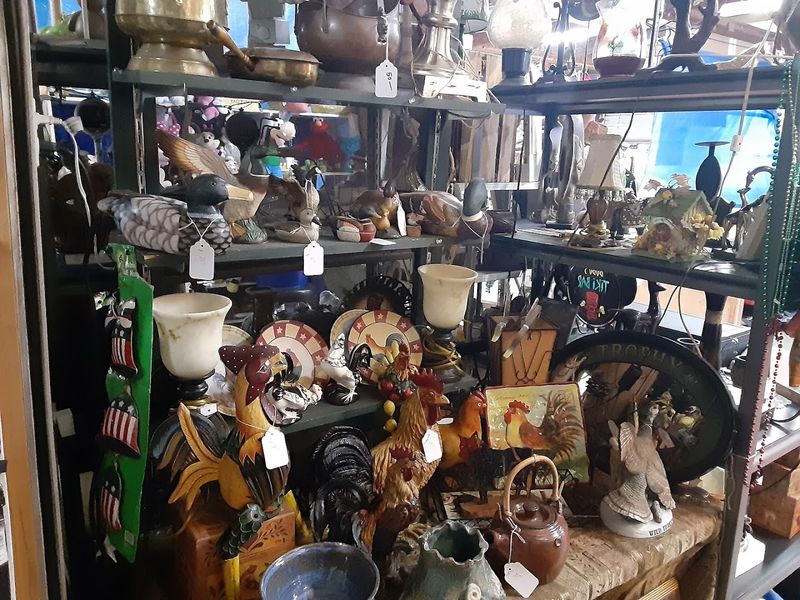 The Thrill of the Unexpected Find The Thrill of the Unexpected Find