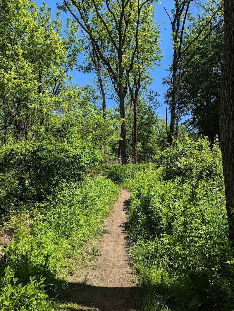The Trail Down to the Water