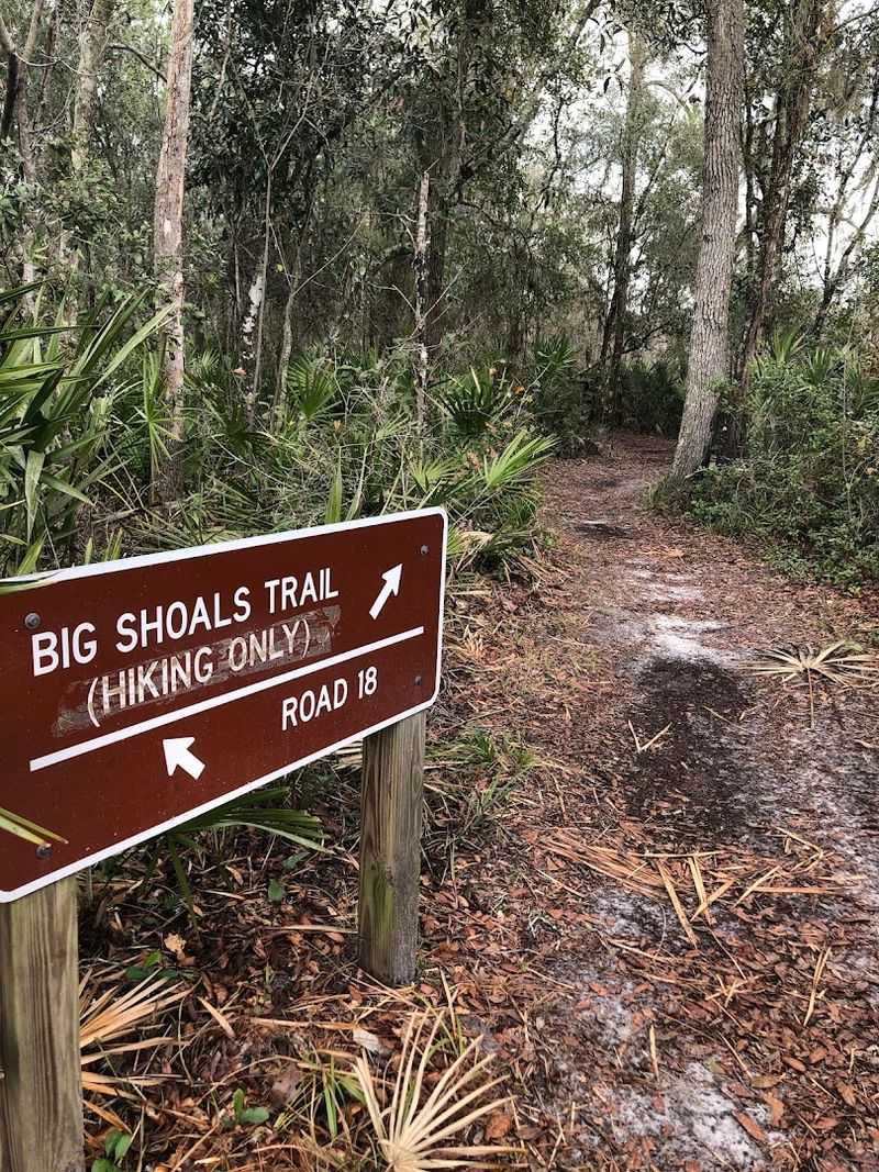 The Trail Itself: What to Expect Before You Lace Up The Trail Itself: What to Expect Before You Lace Up