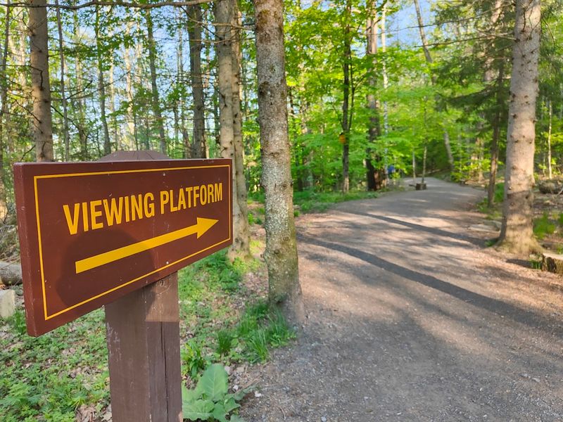 The Trail Layout and What To Expect The Trail Layout and What To Expect