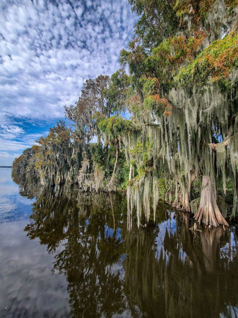 The Trail Network: Miles of Scenic Paths to Explore