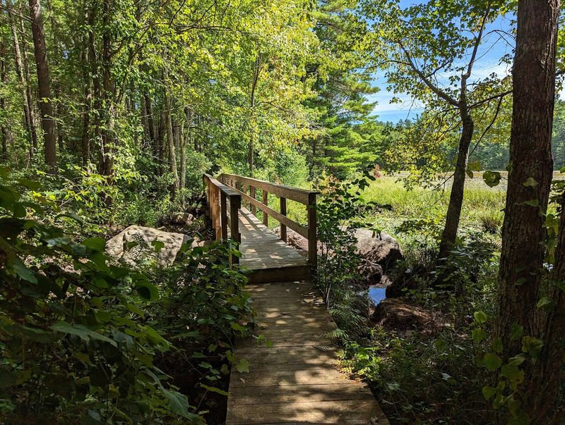 The Trail Network That Keeps Hikers Coming Back for More The Trail Network That Keeps Hikers Coming Back for More