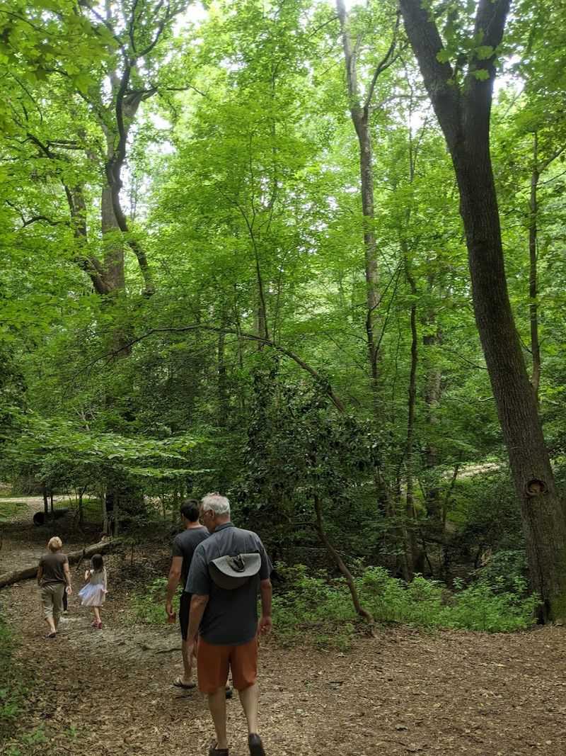 The Trail System Itself: Easy and Family-Friendly
