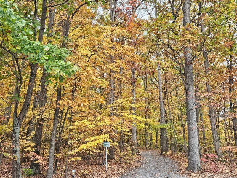 The Trail System and How Far You Can Walk The Trail System and How Far You Can Walk