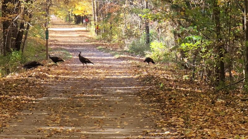 The Trail That Puts This Campground on the Map