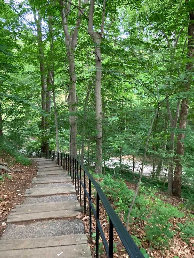 The Trails: Paved Loops, Wooded Spurs, and Happy Surprises The Trails: Paved Loops, Wooded Spurs, and Happy Surprises