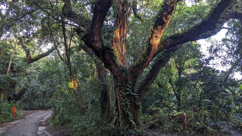 The Trails That Make This Preserve Worth the Trip