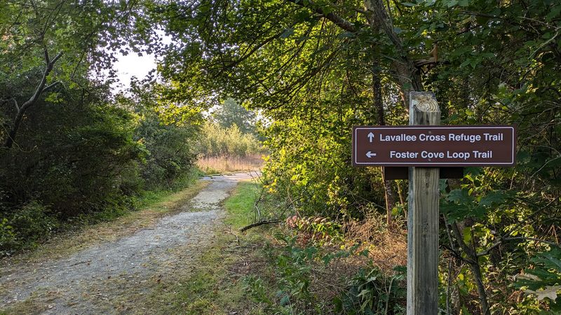 The Trails and What to Actually Expect The Trails and What to Actually Expect